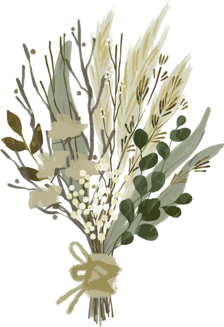 白い小花とオリーブ風の葉を麻ひもで束ねた花束イラスト（背景透過PNG）