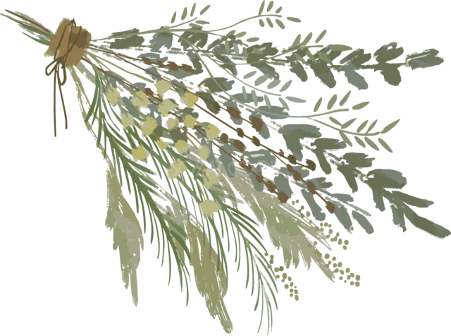細長いグリーンと穂を横向きに束ねたナチュラルな植物イラスト（背景透過PNG）