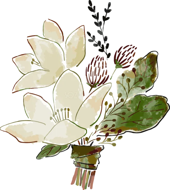 白いマグノリアと大きな緑の葉を束ねた花束イラスト（背景透過PNG）
