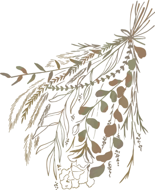 細い葉や穂をナチュラルに束ねたセピア色のスワッグイラスト（背景透過PNG）