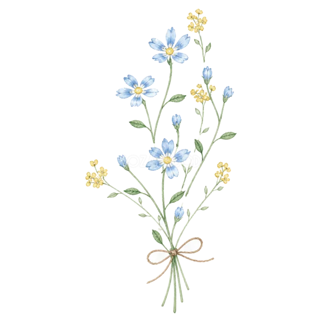 青と黄色の小花を細い茎で束ねた水彩ボタニカルイラスト（背景透過PNG）