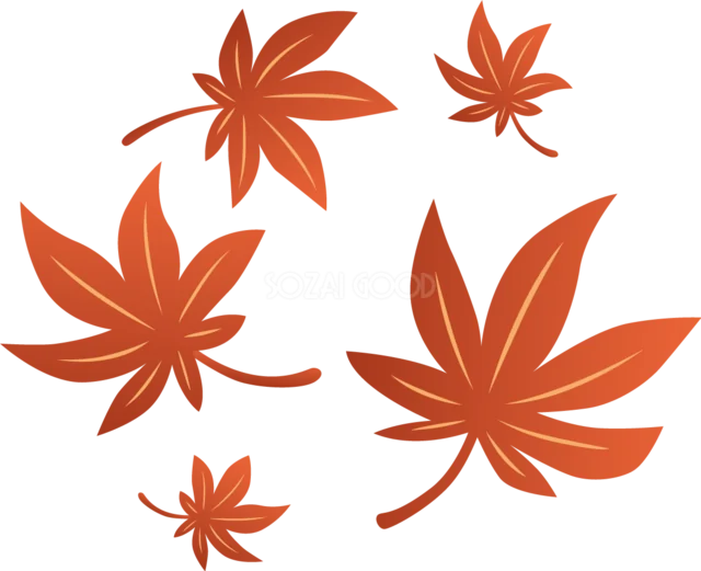 大小の赤いもみじを散らしたシンプルな紅葉イラスト（背景透過PNG）