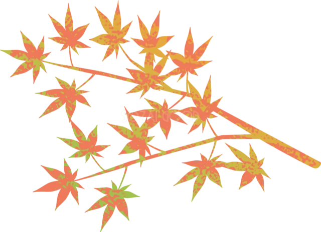 赤や黄色に色づくもみじの枝を描いた秋の紅葉イラスト（背景透過PNG）