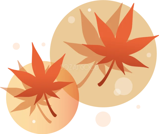 丸い光と赤いもみじを組み合わせたやさしい秋イラスト（背景透過PNG）