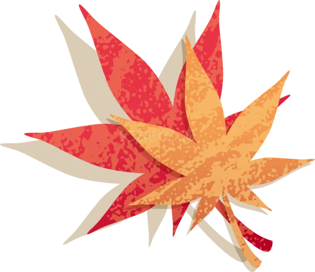 赤とオレンジのもみじを重ねた鮮やかな紅葉イラスト（背景透過PNG）