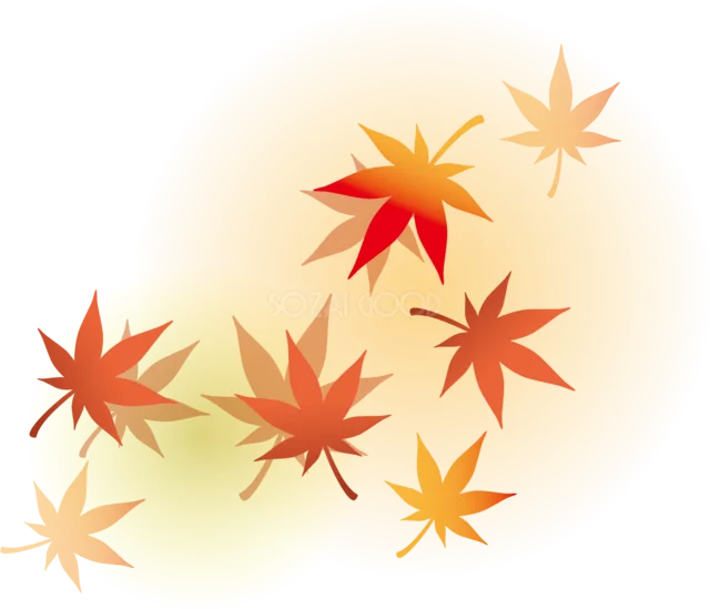淡い光の中に色とりどりのもみじが舞う秋イラスト（背景透過PNG）