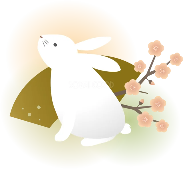 金色の扇と梅の枝を背に見上げる白うさぎイラスト（背景透過PNG）