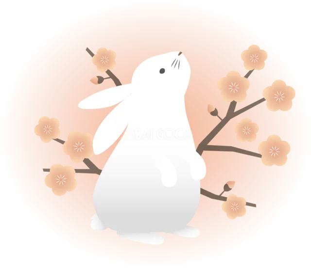 梅の枝を見上げる白うさぎの柔らかな和風イラスト（背景透過PNG）