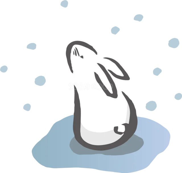 青い水面に座って舞う雪を見上げる白うさぎイラスト（背景透過PNG）