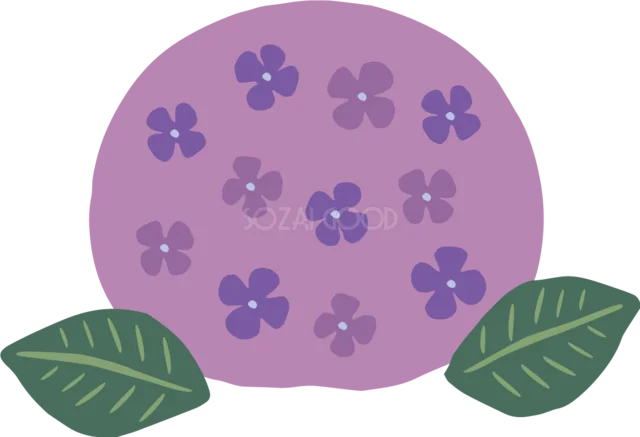 紫の丸いあじさいと濃い緑の葉（背景透過PNG）