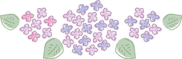 ピンクと紫の小さなあじさい3房と緑の葉（背景透過PNG）