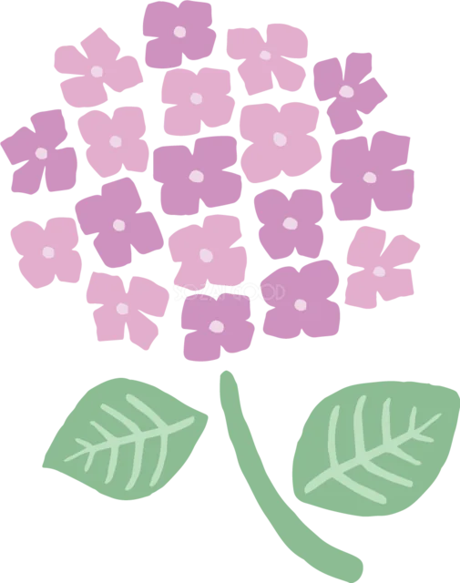 四角いピンクの小花で描いた一輪のあじさい（背景透過PNG）