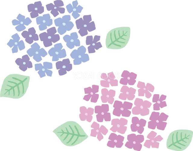 紫・青・ピンクの四角い小花で描いたあじさい3輪（背景透過PNG）