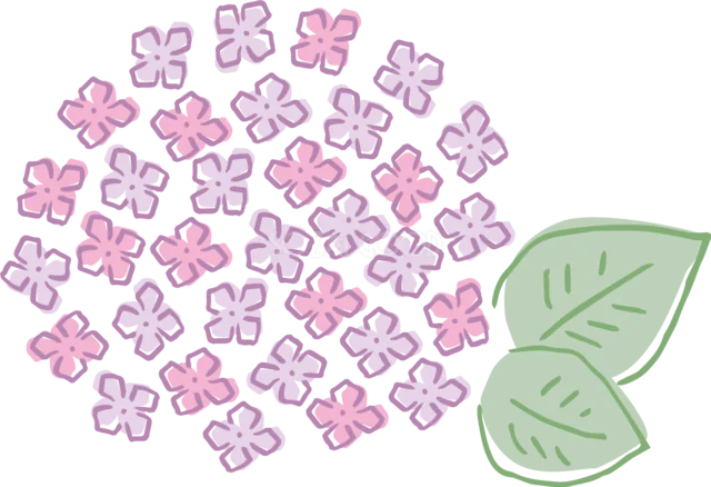 ピンクの小花を集めたあじさいと大きな緑の葉（背景透過PNG）