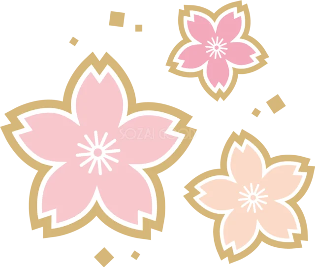 金色の縁取りで描いた大小3輪の桜イラスト（背景透過PNG）