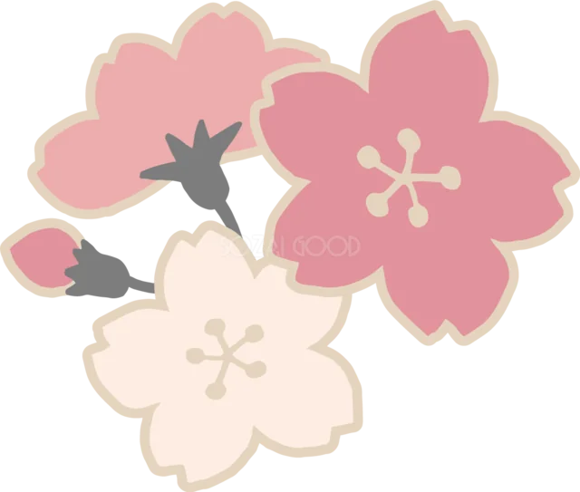 くすみピンクと白の桜を重ねたレトロな春イラスト（背景透過PNG）