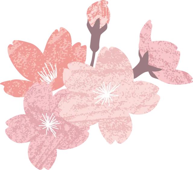 クレヨン風の濃淡ピンクで描いた桜とつぼみのイラスト（背景透過PNG）