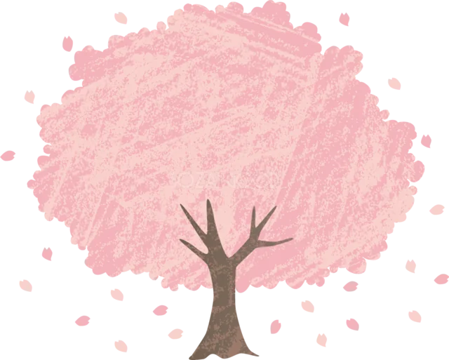 満開の丸い桜の木を描いたかわいい春イラスト（背景透過PNG）