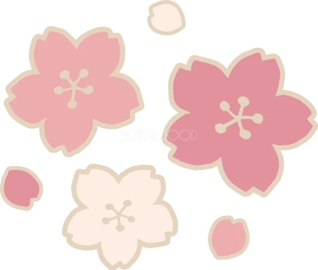 くすみピンクと白の桜3輪を並べたレトロな春イラスト（背景透過PNG）