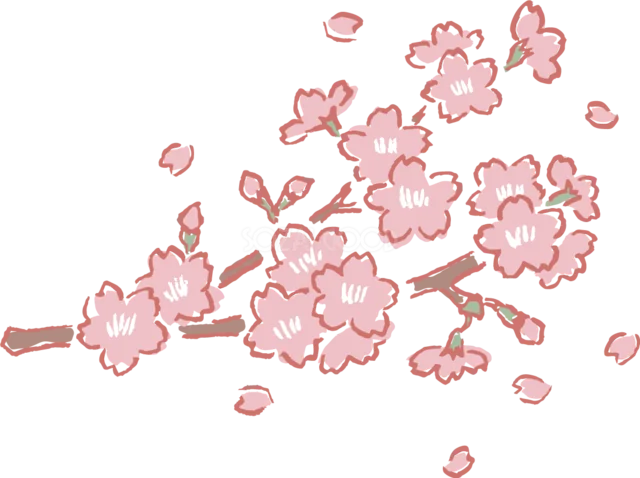 細い枝に小さな桜がたくさん咲く線画風イラスト（背景透過PNG）