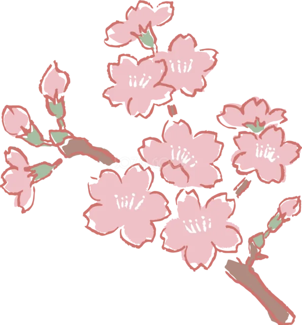 濃いピンクの桜が枝いっぱいに咲く手描き風イラスト（背景透過PNG）