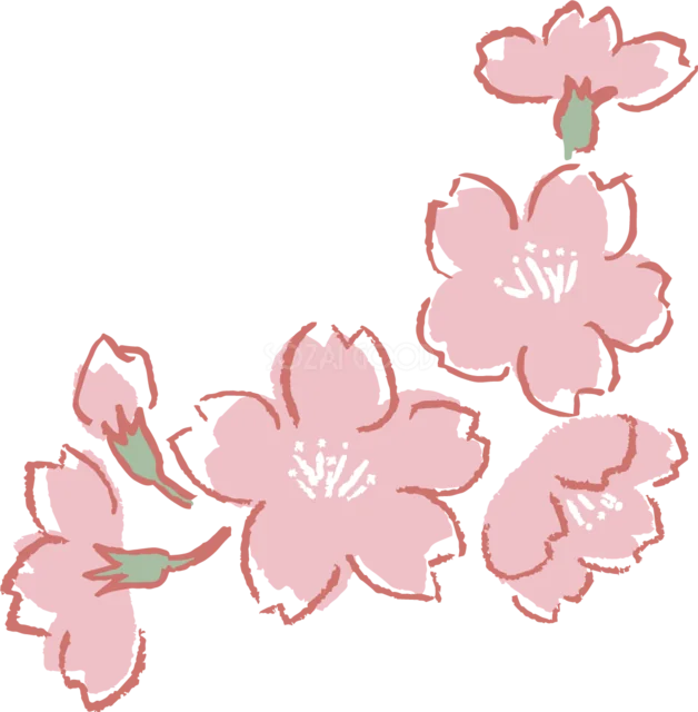 赤い線画の桜3輪とつぼみを描いたシンプルな春イラスト（背景透過PNG）