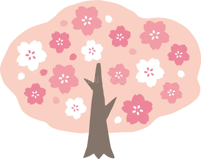 ピンクと白の花が咲く丸い桜の木のかわいいイラスト（背景透過PNG）
