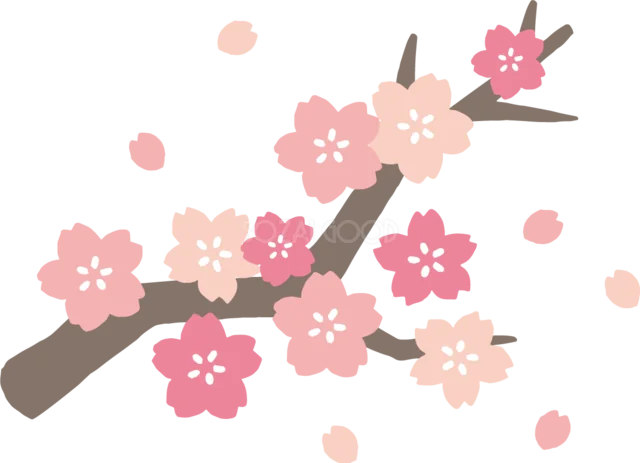 濃淡ピンクの桜が咲く茶色い枝と舞う花びらのイラスト（背景透過PNG）