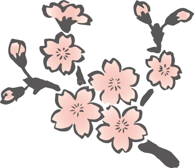 黒い筆線の枝に淡い桜が咲く手描き風イラスト（背景透過PNG）