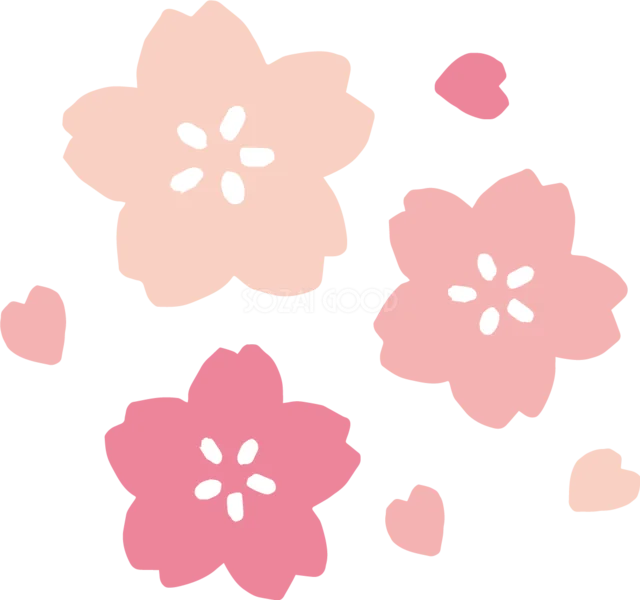 濃淡ピンクの桜3輪と花びらを並べたシンプルな春イラスト（背景透過PNG）