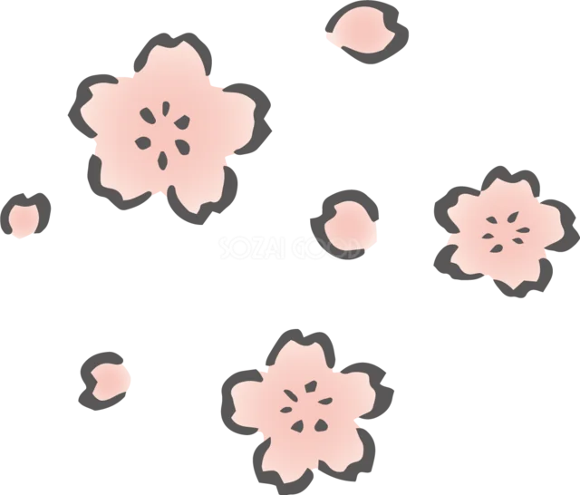 黒い縁取りの桜と舞う花びらを散らした手描き風イラスト（背景透過PNG）