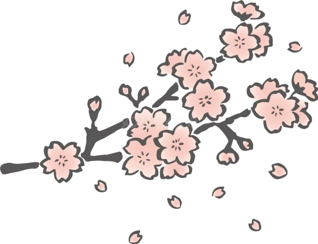 黒い細枝に淡いピンクの桜が咲く和風イラスト（背景透過PNG）