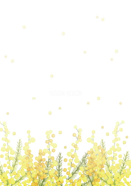 黄色いミモザの花畑を下部に描いた余白たっぷりの縦型フレーム（背景透過PNG）