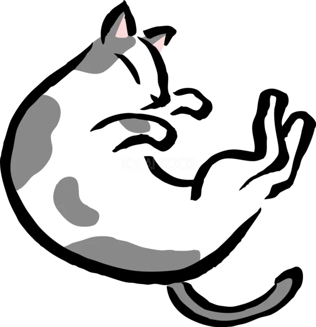 仰向けになって遊ぶグレーの猫（背景透過PNG）