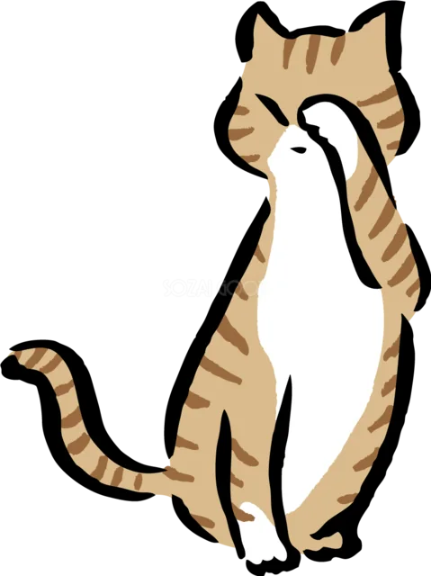 前足で顔を洗う茶トラ猫（背景透過PNG）