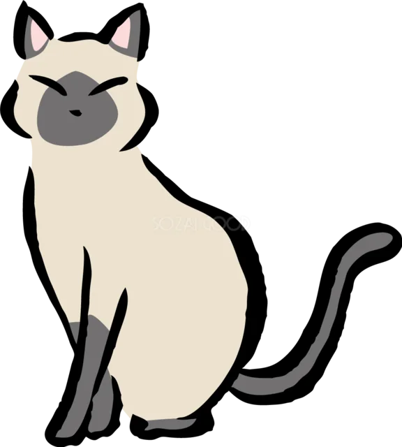 青い目で座るシャム猫（背景透過PNG）