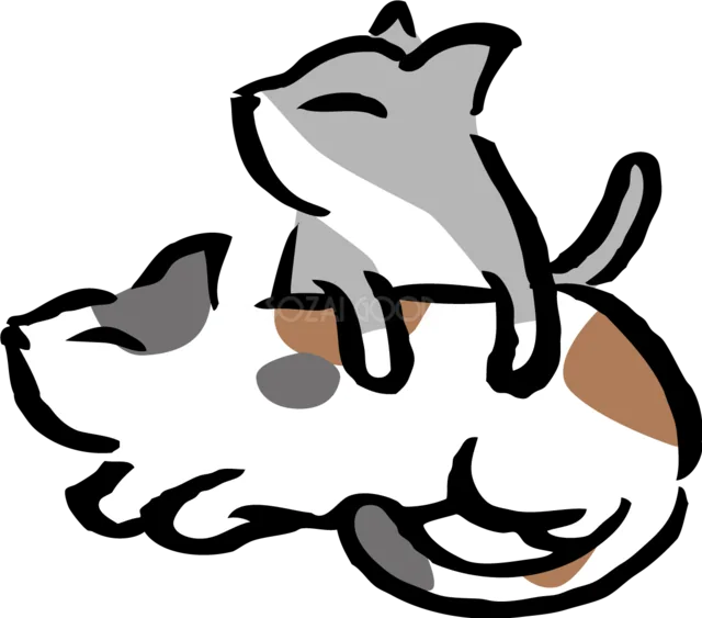 三毛猫の上にグレー猫が乗る仲良し猫（背景透過PNG）