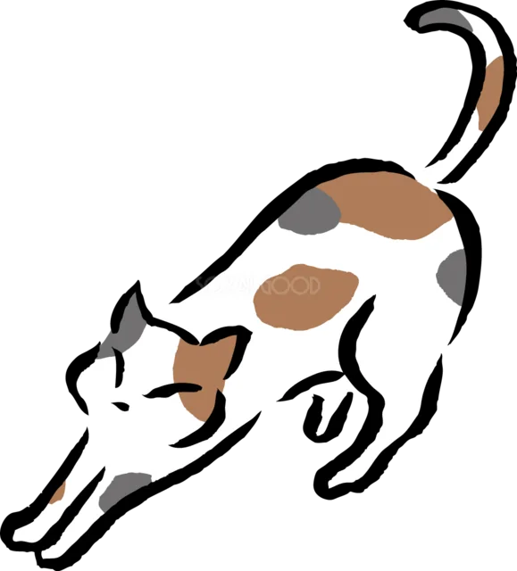 前足を伸ばしてストレッチする三毛猫（背景透過PNG）