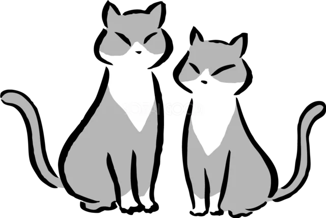 仲良く並んで座るグレー猫と白猫（背景透過PNG）