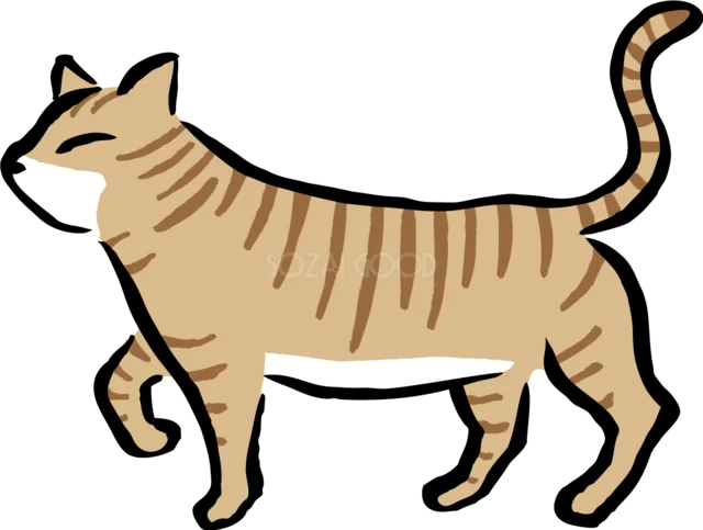 尻尾を立てて歩く茶トラ猫（背景透過PNG）