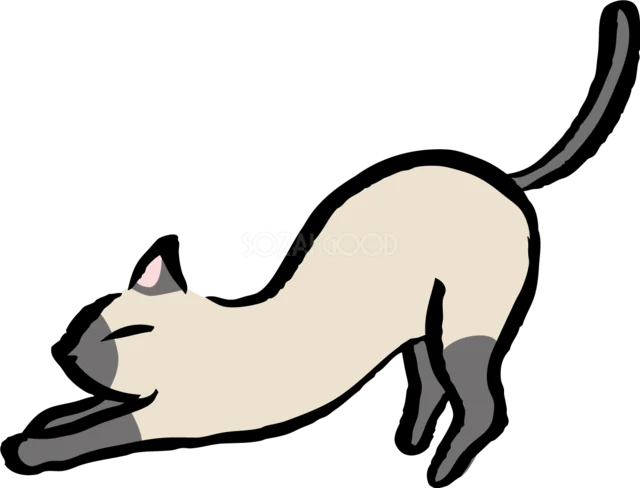 前足を伸ばして気持ちよく伸びをするシャム猫のイラスト（背景透過PNG）