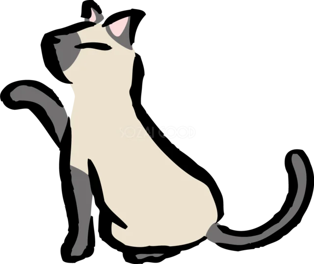 上を見上げておすわりするシャム猫のイラスト（背景透過PNG）