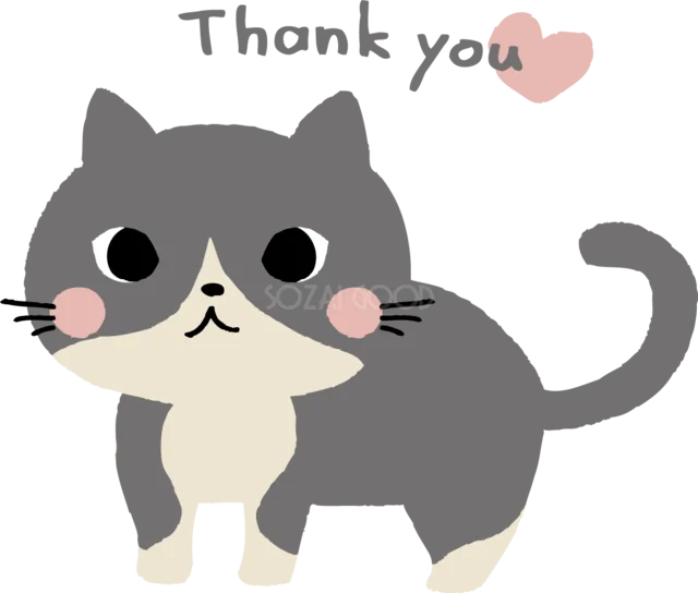 Thank youとハートを添えたグレーの猫（背景透過PNG）