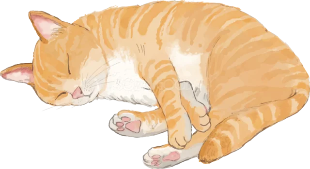丸くなって眠る茶トラ猫イラスト（背景透過PNG）