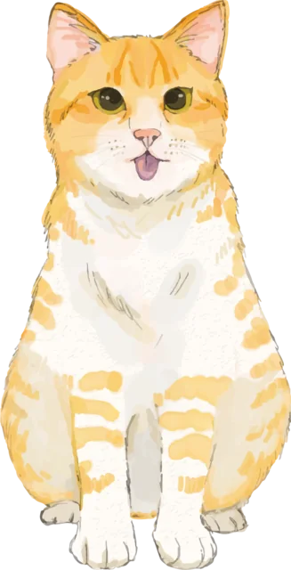 舌を出して正面を向くかわいい茶トラ猫（背景透過PNG）