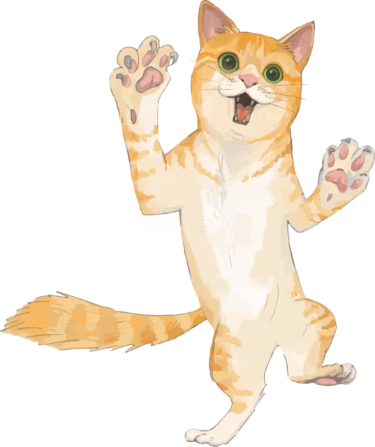 後ろ足で立って両前足を上げる茶トラ猫（背景透過PNG）