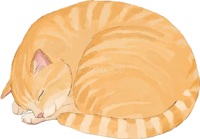 体を丸めて気持ちよさそうに眠る茶トラ猫（背景透過PNG）