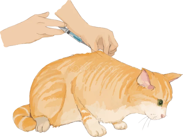 飼い主に爪を切ってもらう茶トラ猫（背景透過PNG）