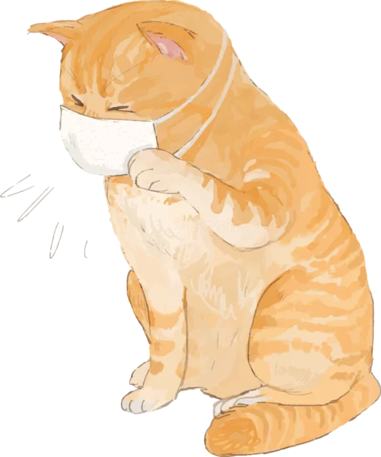 エリザベスカラーを付けて座る茶トラ猫（背景透過PNG）