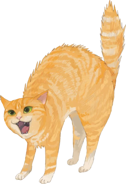 背中を丸めて毛を逆立てる怒った茶トラ猫（背景透過PNG）